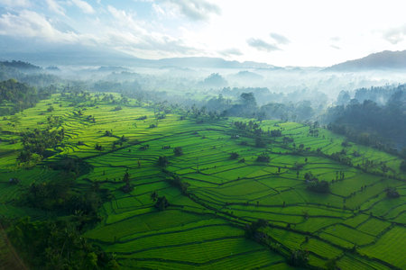 A Bali Highland Countryside - Rice Fields. Tropical Nature and Sustainable Agriculture Landscape