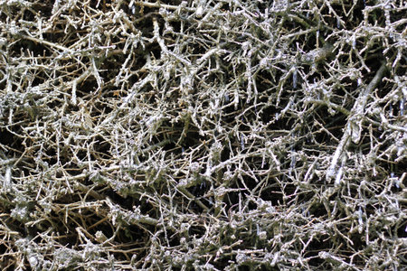 Texture structure for picture composition - Composing - Collagen & background for art work