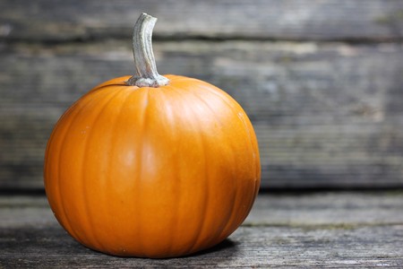 Still life of ornamental gourds in October as a backgroundの写真素材