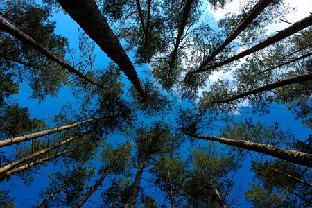 Hiking in nature is good for soul mind and bodyの写真素材