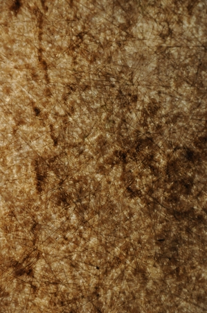 Texture for a background and editing imageの写真素材