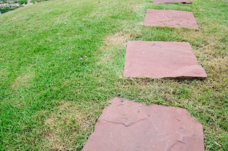 Pathway in the park at sunny dayの写真素材