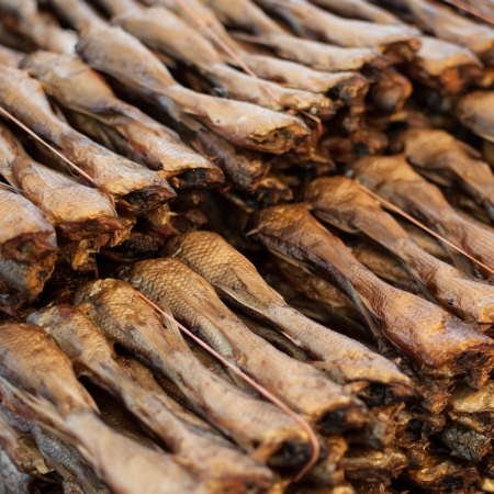 Various types of dried fish sold in the marketの写真素材