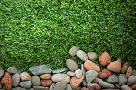Texture of fresh green grass in sunny dayの写真素材