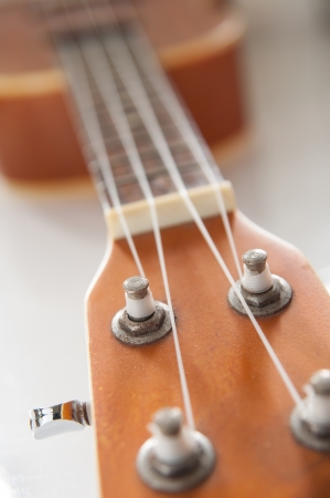 Ukulele is the instrument of the people of Hawaii.の写真素材