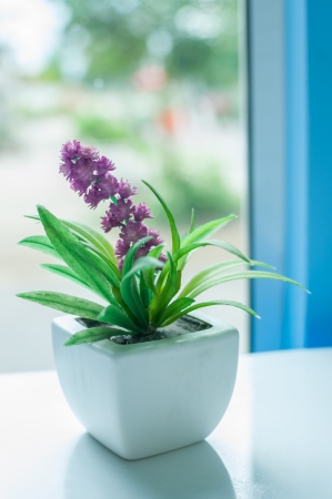 Flowers near a window in bright dayの写真素材