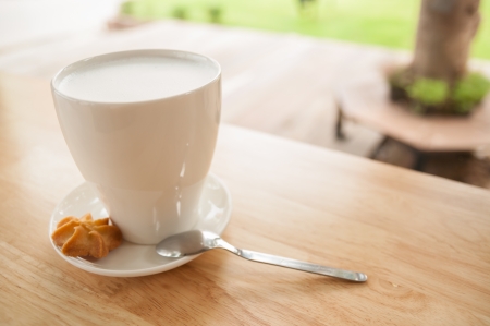 Hot milk and cookie pieces in fine weatherの写真素材