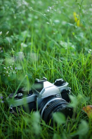 Film cameras that had been popular in the past