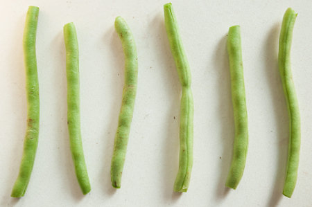 Yardlong bean from Thailand on a white 