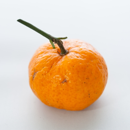 Orange species that are commonly sold in the name tangerinesの写真素材