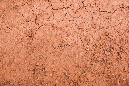 Closeup of dry soil texture backgroundの写真素材
