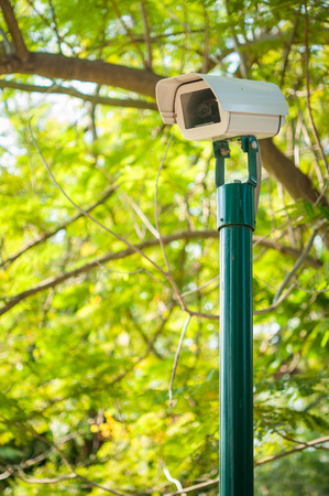 Security Camera or CCTV in the parkの写真素材