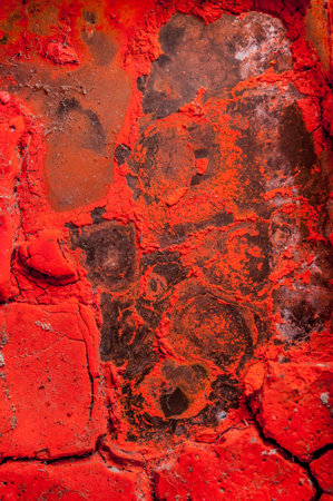 Shattered surface of the dehydrated watercolour.