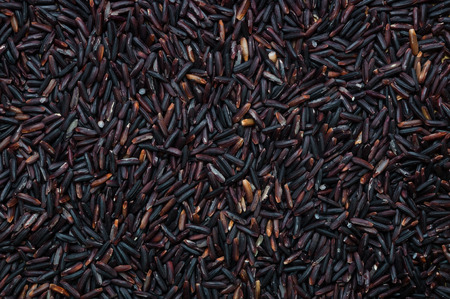 Uncooked raw purple Riceberry rice backgroundの写真素材