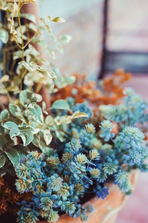 Artificial flowers in a pot decorate on garden, Color Effect.の写真素材