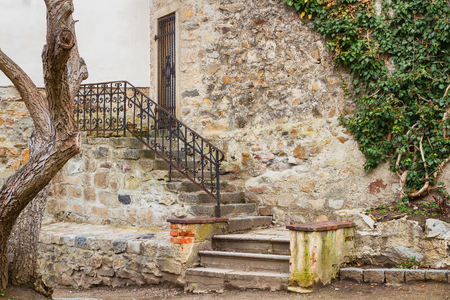 Wild grapes covering a stone wall. Green leaves of ivy.の写真素材