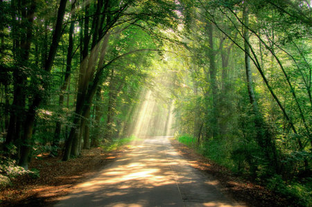ray of light