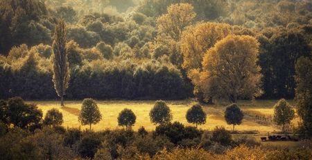 autumn natureの写真素材