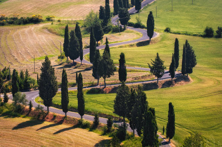 winding road