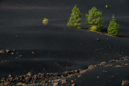 new lifeの写真素材