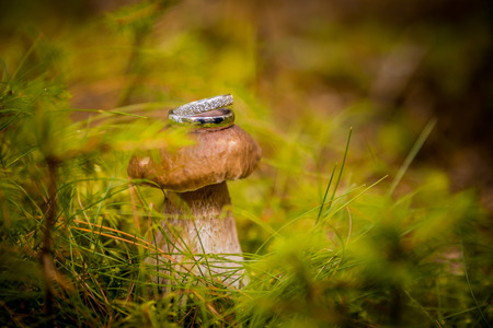 wedding rings gold and silver, macroの写真素材