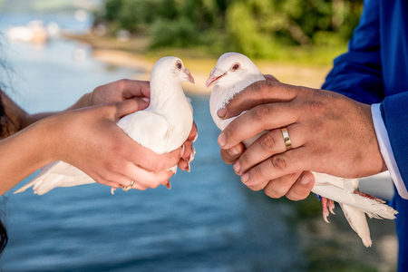 woman and man holding dove, hollow, in the background seaの写真素材
