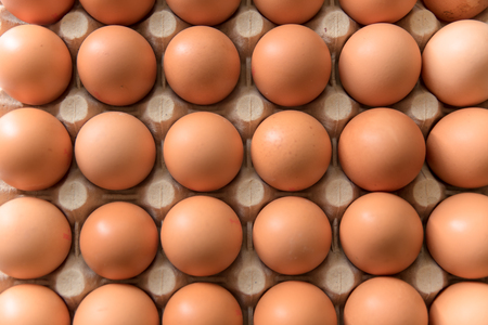 chicken eggs, packaged, eggs placed on a white background, eggs outside the packageの写真素材