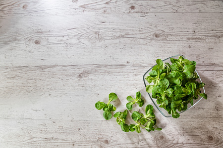 fresh lettuce leaves, salad on a plate placed on a wooden tableの写真素材