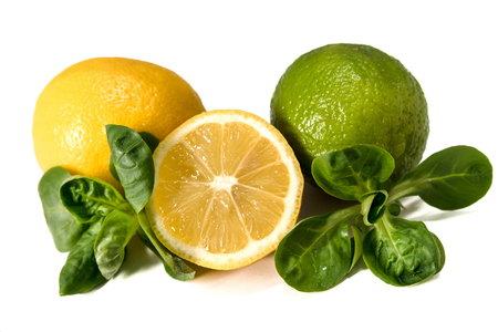 lemon, lime laid on a white backgroundの写真素材