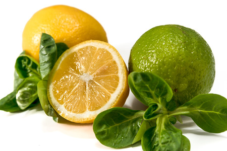 lemon, lime laid on a white backgroundの写真素材