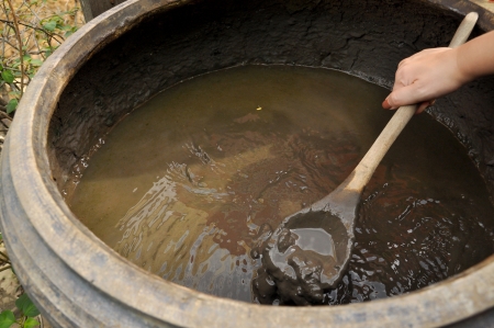 Mud mask from hot spring mineral mud. Mae Hong Son,Thailand.の写真素材