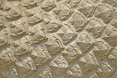 Patternの写真素材