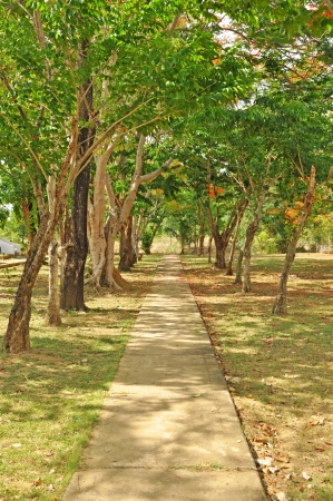 The pathwayの写真素材