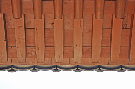 The Chinese roof