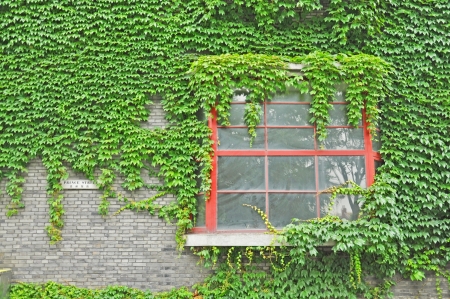 Windowsの写真素材