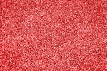 Red Grass fieldの写真素材