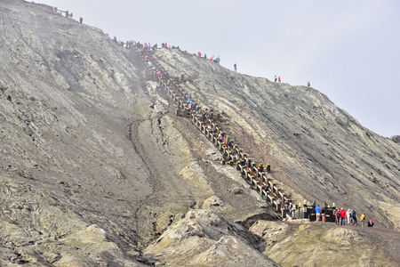 EAST JAVA, INDONESIA - OCT 19, 2015 : Unidentified tourists at Mount Bromo in East Java, Indonesia. Mt. Bromo is an active volcano and part of the Tengger massif, in East Java.のeditorial素材