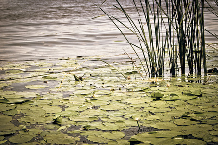 Zegrze Reservoirの写真素材