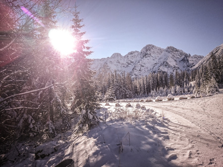 Road to the Eye of the Sea. Zakopane Poland.の写真素材