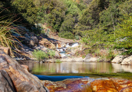 A tranquil river bed on the outskirts of the forest.