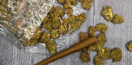 A clear plastic bag full of medical marijuana buds sits on a wooden table.の写真素材