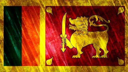 Sri Lanka Flag with grunge texture.の写真素材