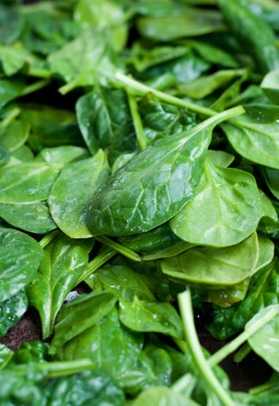 Organic fresh spinach leaves composition