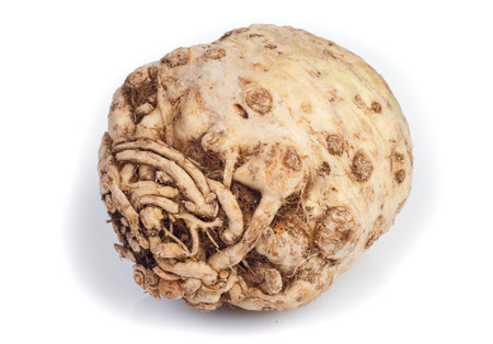 Organic celery on the whiteの写真素材