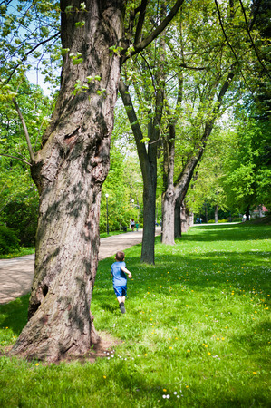 Park in Warsaw -Polandの写真素材