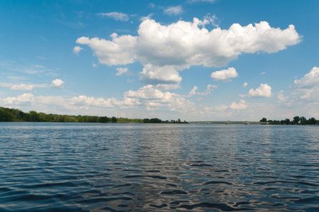 Wild nature on the Lake  Zegrze 