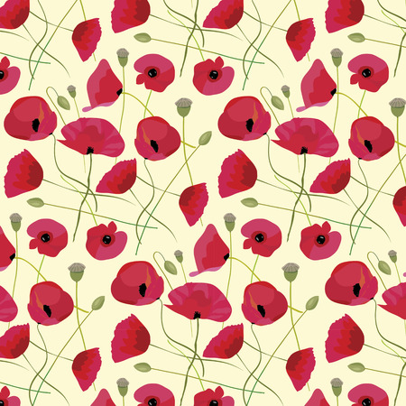 Red poppy flowers Spring delicate backgroundのイラスト素材