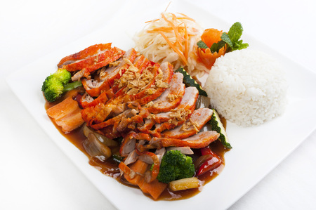 Delicious Chinese duck with rice and vegetable saladの写真素材