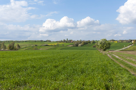 Beautiful landscape with plowed fields and rural road. Agriculture of Poland.の写真素材