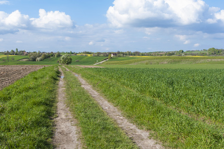 Beautiful landscape with plowed fields and rural road. Agriculture of Poland.の写真素材